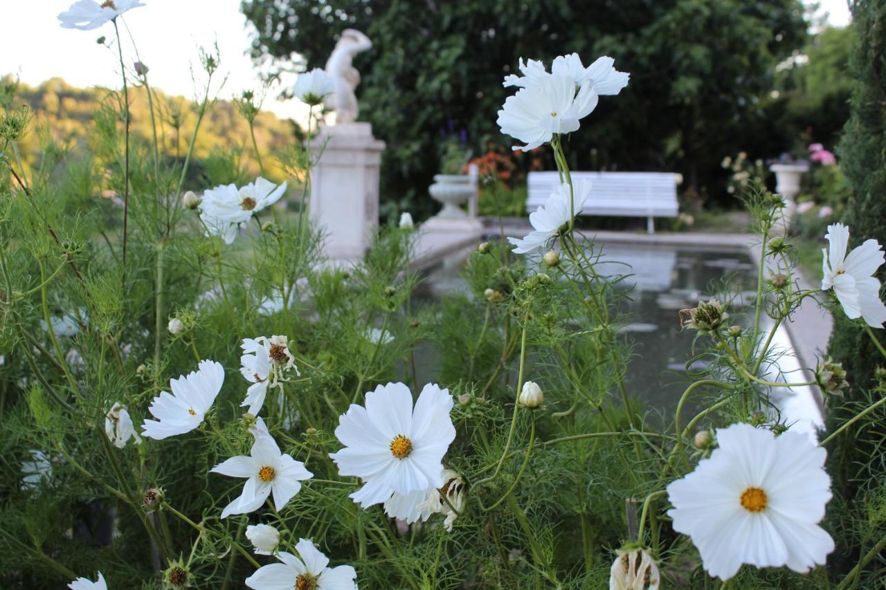 Chateau Du Grand Jardin Valensole Eksteriør bilde
