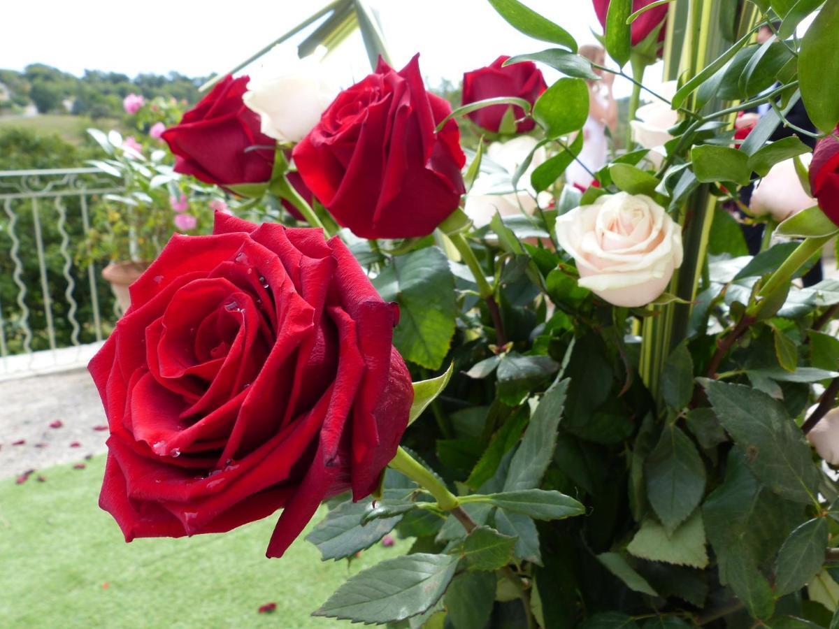 Chateau Du Grand Jardin Valensole Eksteriør bilde