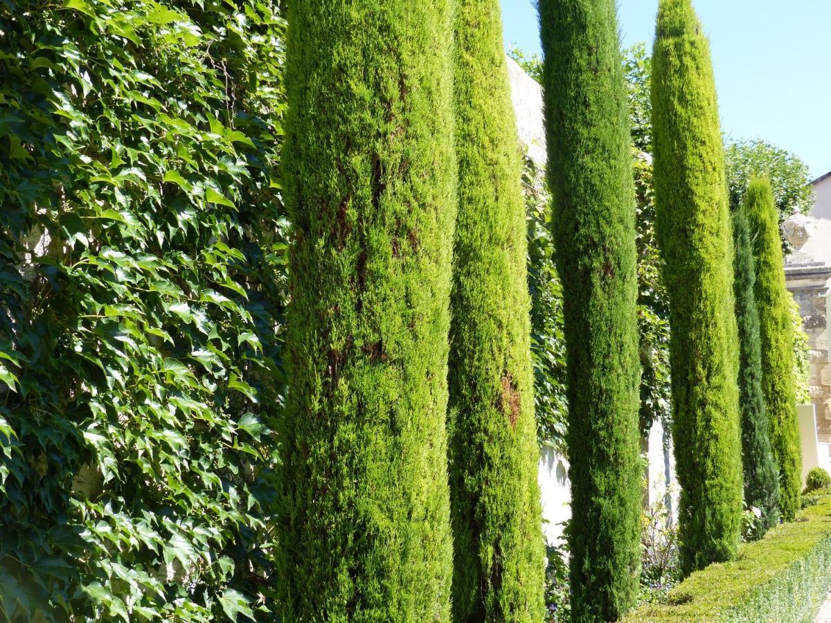 Chateau Du Grand Jardin Valensole Eksteriør bilde